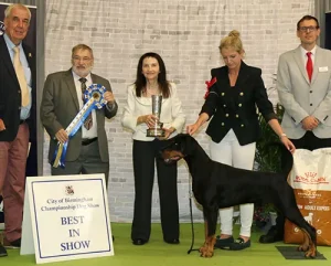 BIS Mrs A L Jones Ms I Ushakova Ch Lux Ch Bel Ch Korifey Vanquish Jw with BIS judge Mr P Wilkinson with The Revd W H King Chairman Mr J Wolstenholme Royal Canin