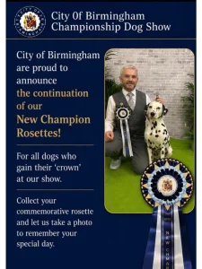 Home 2 COB Rosettes
