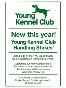 Home 2 Young Handling
