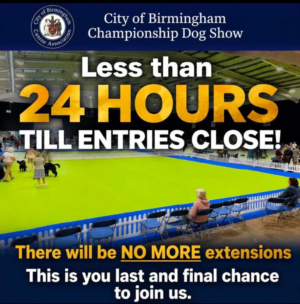 775548688 1096557036034308 736161283690086054 n